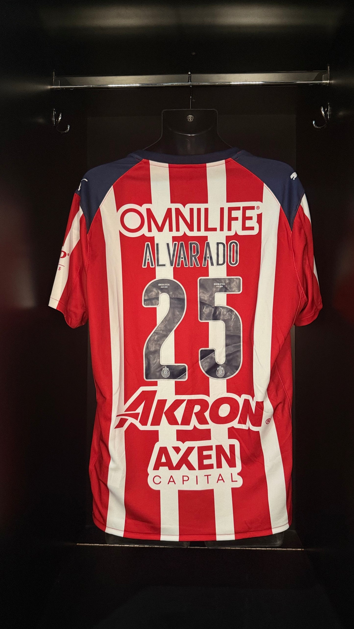 2025-2026 Chivas Guadalajara Alvarado HOME Kit Soccer Jersey Football Shirt Puma Large Authentic