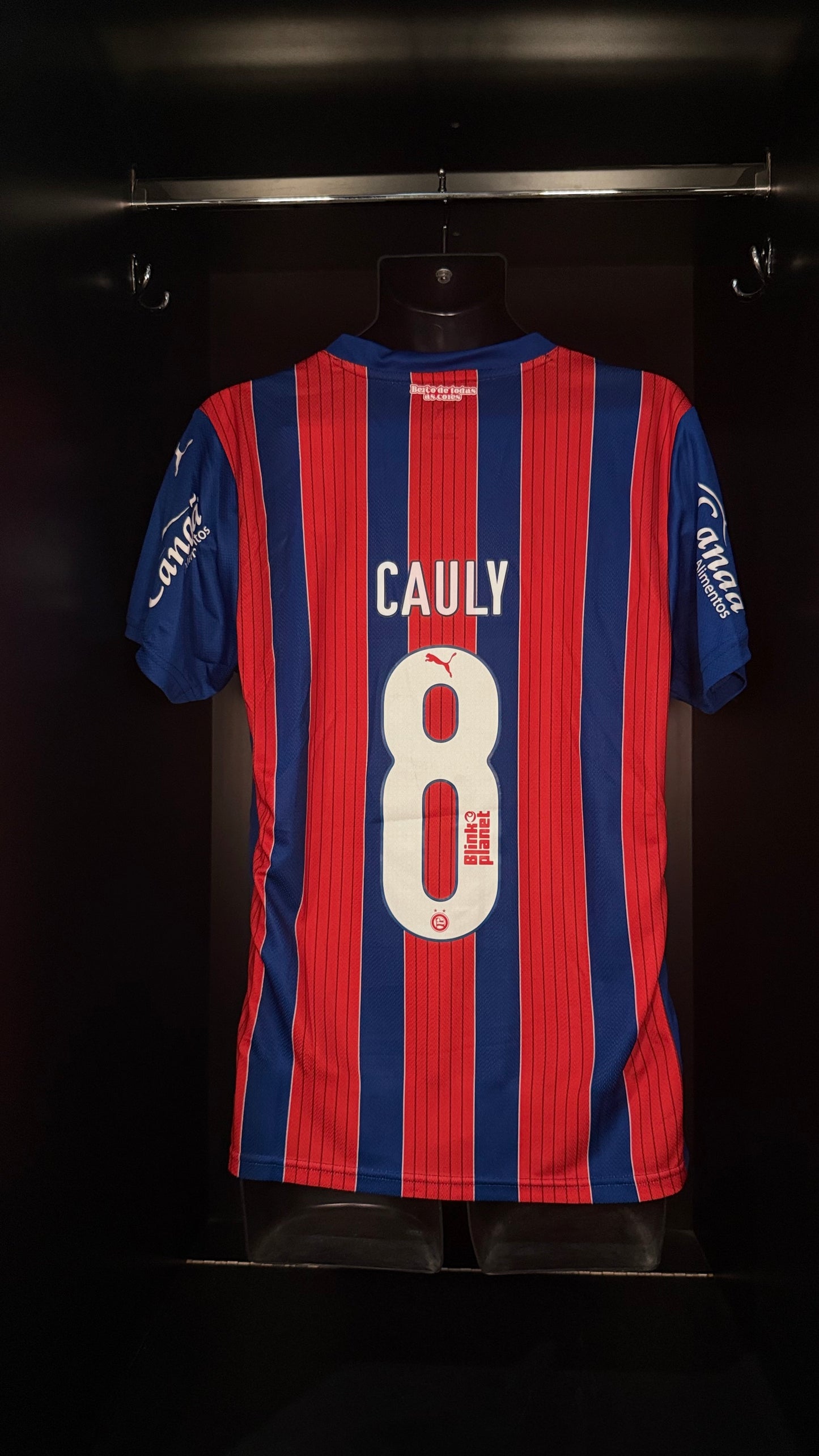 2025-2026 Esporte Clube Bahia Cauly AWAY Kit Soccer Jersey Football Shirt Puma Medium Authentic