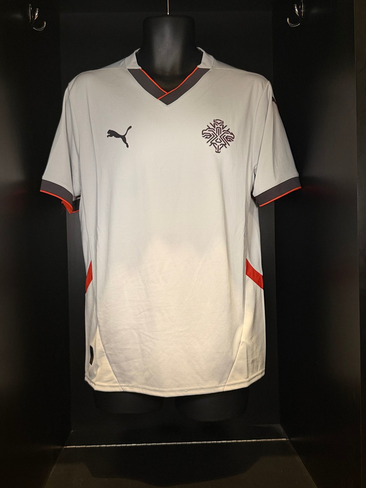 2024-2025 Iceland AWAY Kit Soccer Jersey Football Shirt Puma Medium Authentic