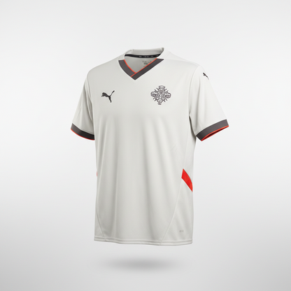 2024-2025 Iceland AWAY Kit Soccer Jersey Football Shirt Puma Medium Authentic