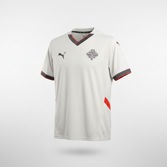 2024-2025 Iceland AWAY Kit Soccer Jersey Football Shirt Puma Medium Authentic
