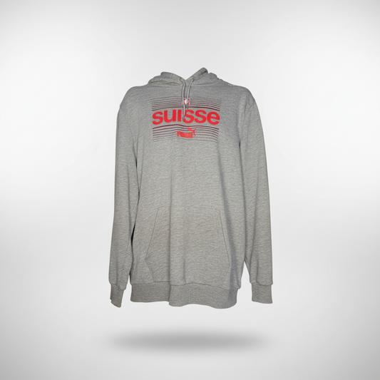 2024-2025 Switzerland HOODIE Jacket Soccer Puma Large Authentic